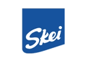 The Branding Company- image showcasing the skei icecream logo as part of our client